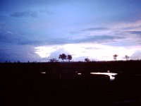 Daybreak at Phouc Vinh.